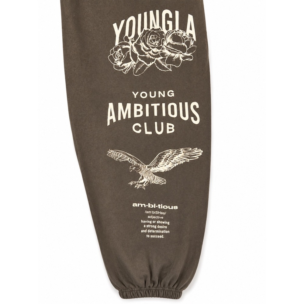 YoungLA Ambitious Club Graphic Jogger Sweatpants Brown Eagle Rose Mens Size L - Picture 3 of 7